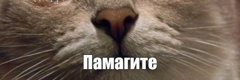 Спасити Мем памагити