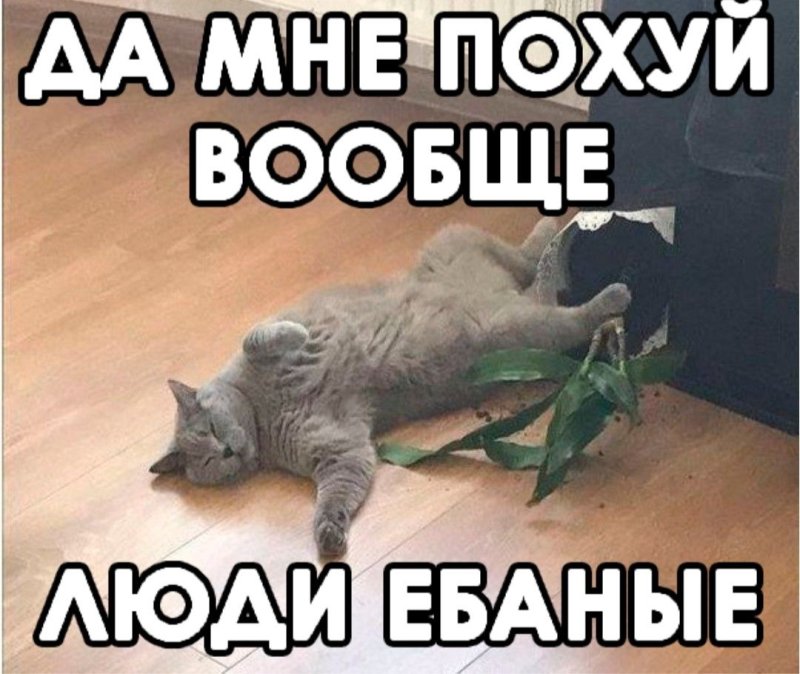 Да мне вообще noxуй люди
