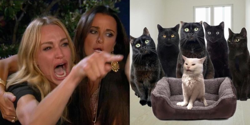 Мем с кошкой и девушкой