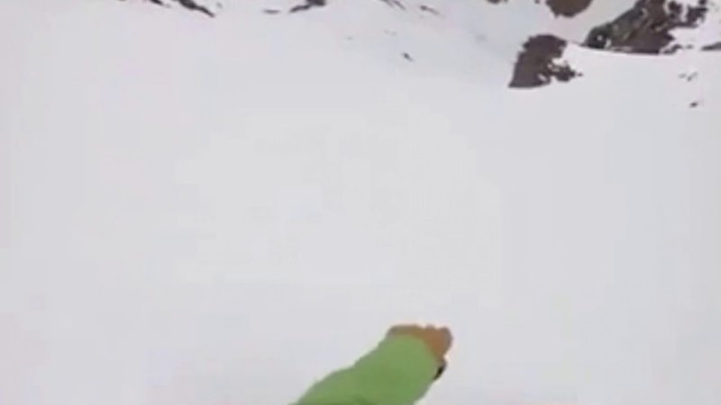 Собака скатилась с горы