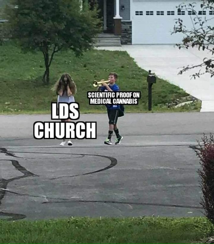 Мем девочка и мальчик с трубой