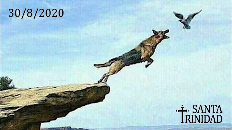 Выбор сделанный в гневе