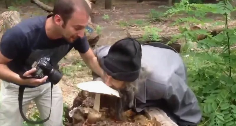 Мем это мой гриб