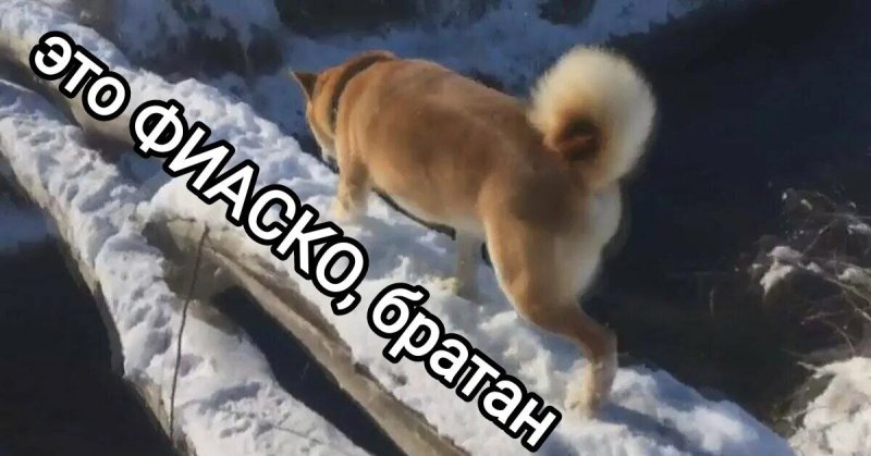 Это фиаско братан