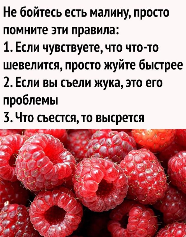 Шутки про малину