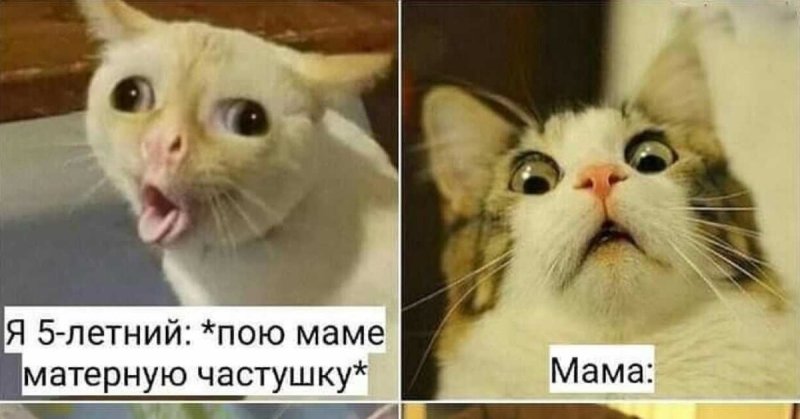 Я рассказываю маме матерную частушку