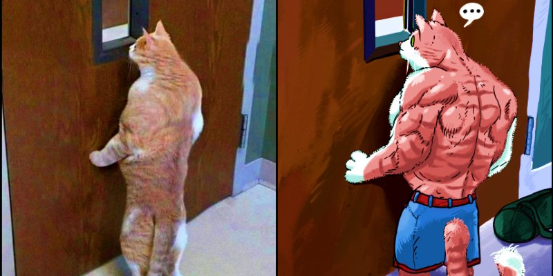 Мускулистый кот