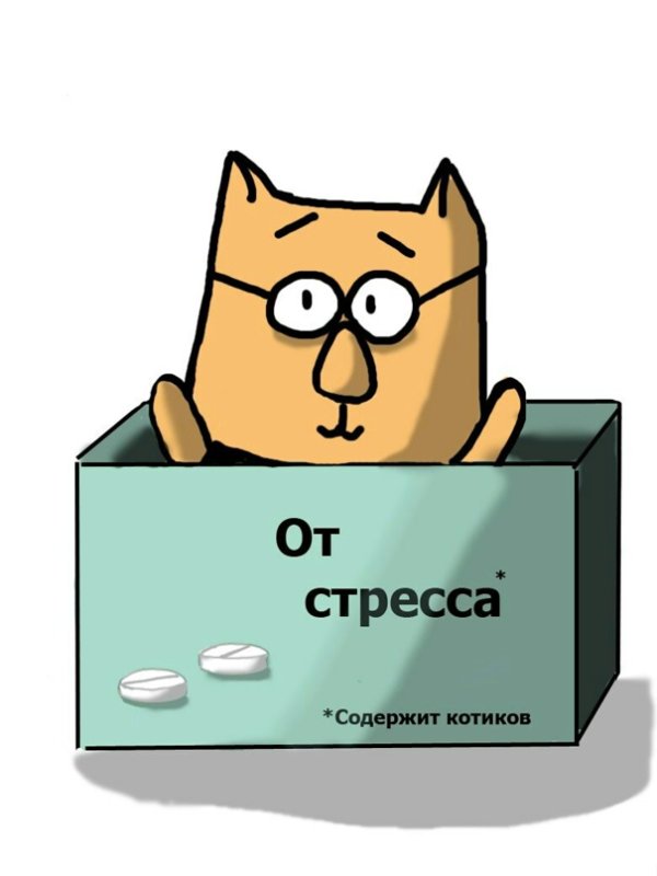 Стресс Мем кот