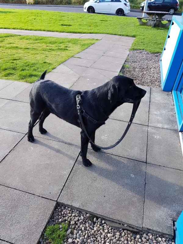 Самоконтроль Мем