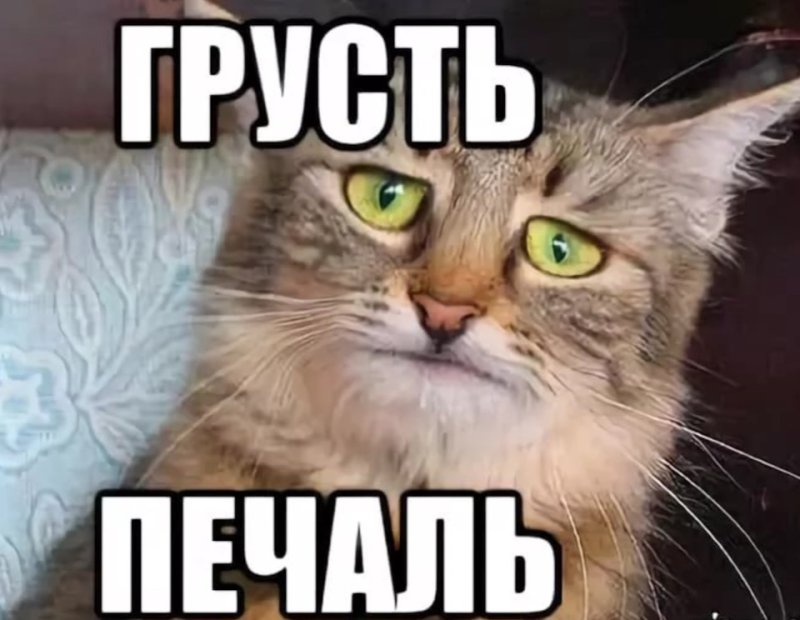 Печаль Мем