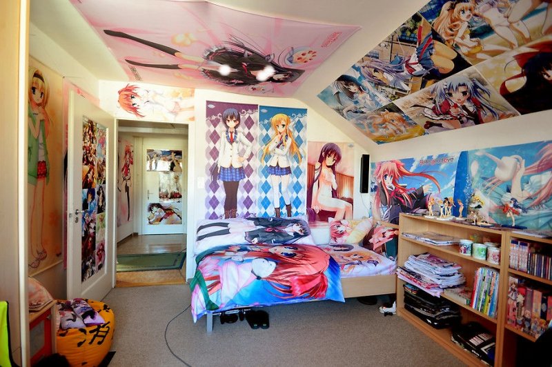 Комната АНИМЕШНИКА