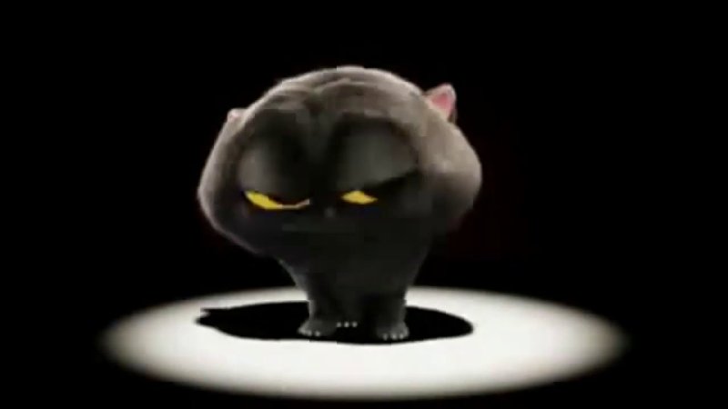 Чёрный кот флексит