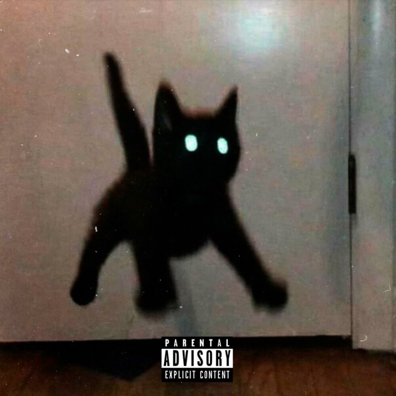 Черный кот Мем