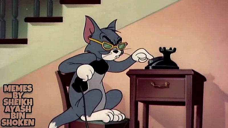 Кот из Тома и Джерри