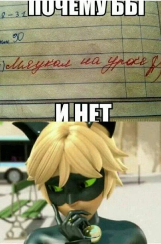 Леди баг мемы