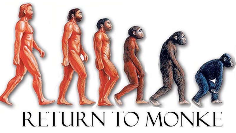 Обратная Эволюция в обезьяну