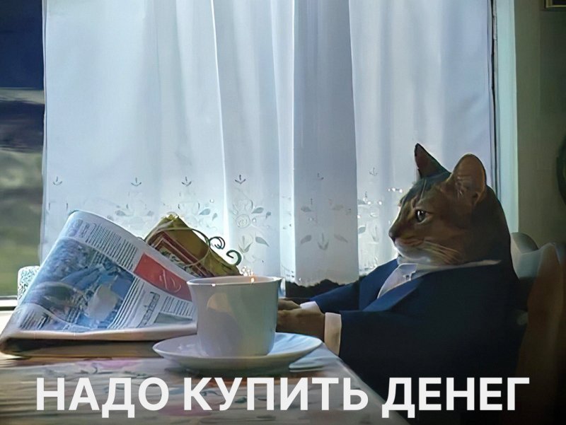 Кот читает газету в костюме