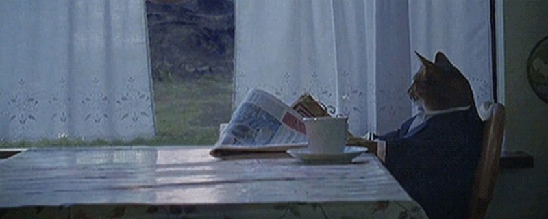 Кот в костюме с газетой