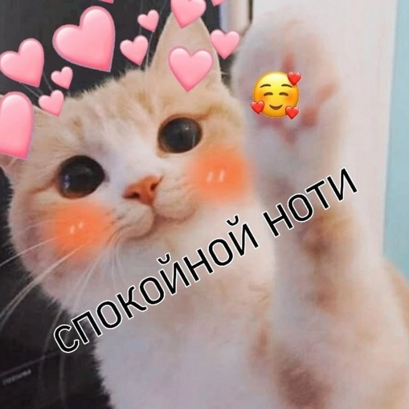 Милый котик с сердечками