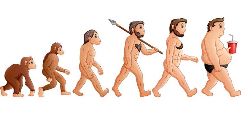 Хомо сапиенс Эволюция