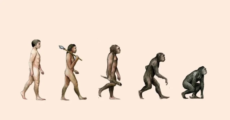 Деградация человека