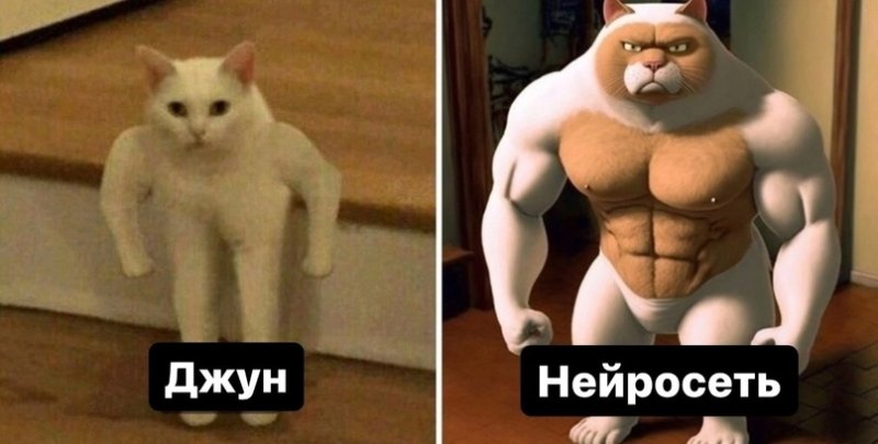 Кот качок Мем оригинал