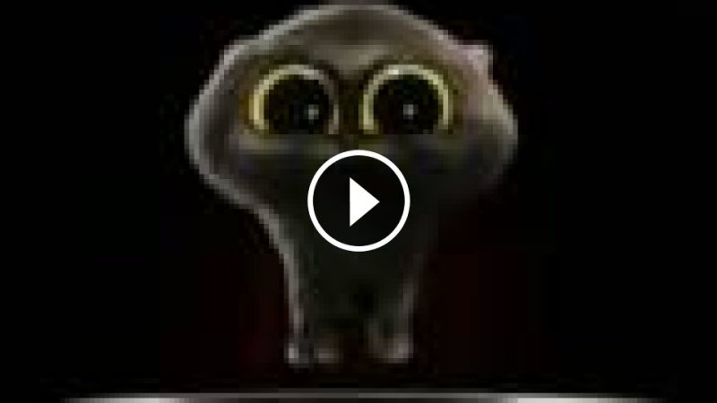 Скэтмэн кот