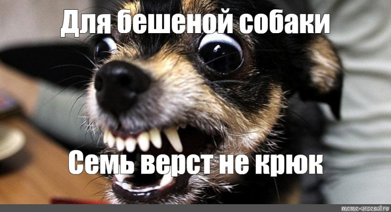 Бешеной собаке 7 верст