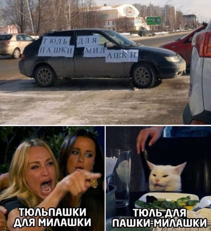 Кот и 2 девушки Мем