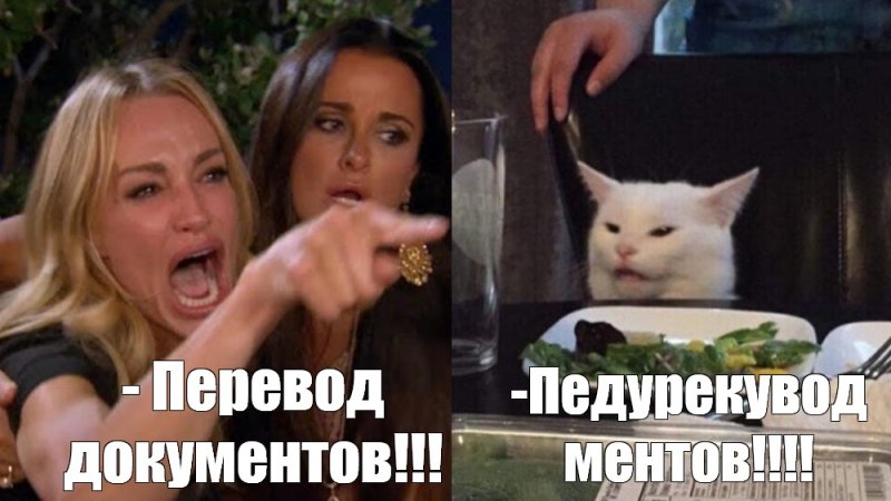 Мем с котом и девушками