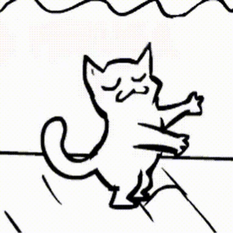 Котик танцует