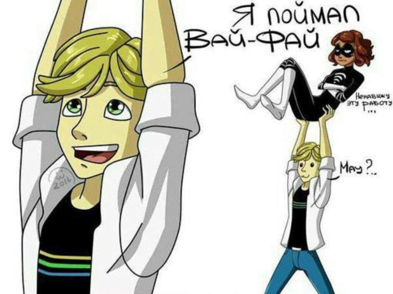 Леди баг Мем