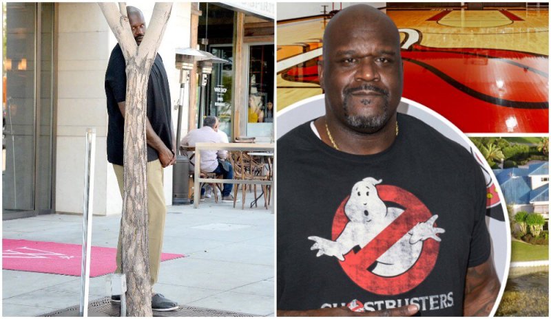 Шакил о'Нил рост