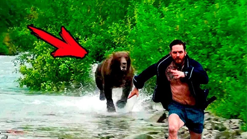 Убегает от медведя