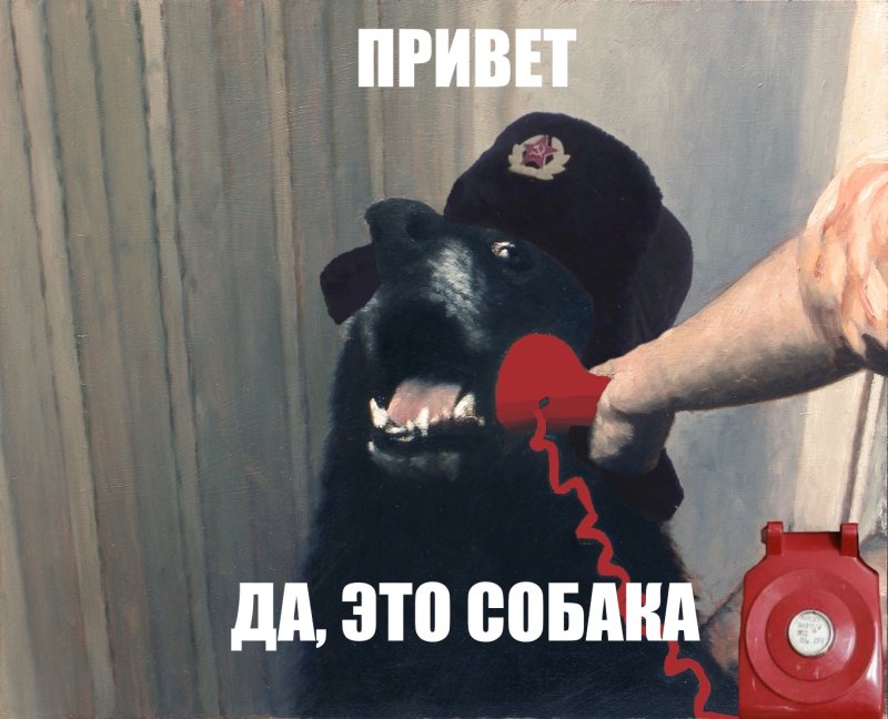 Алло это пес Мем