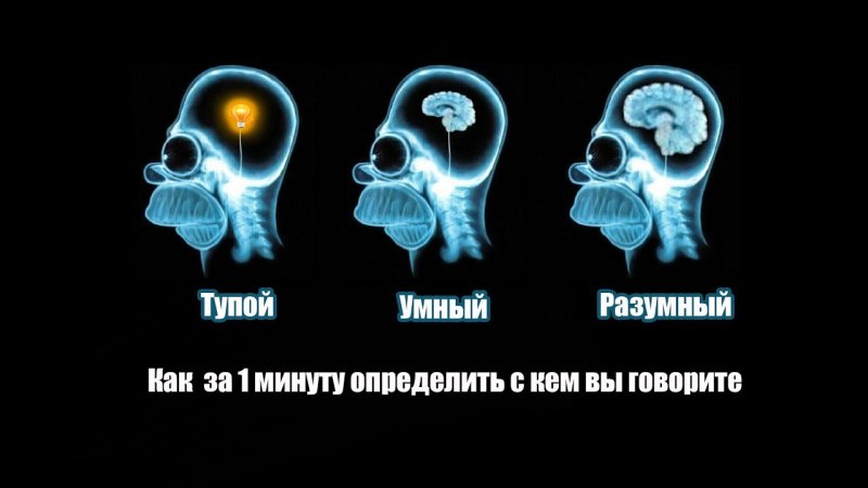 Умный и тупой