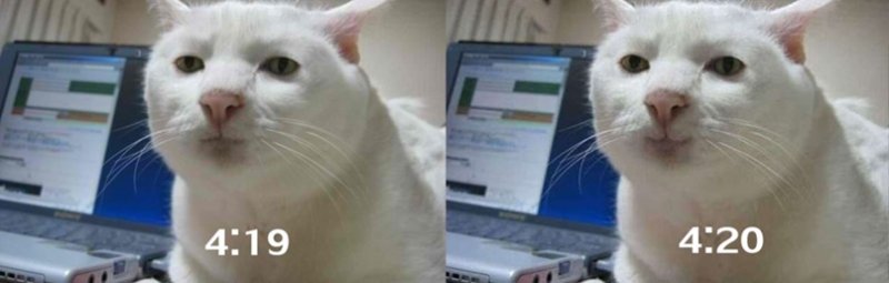 Кот я почти засмеялся оригинал