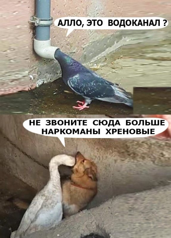 Алло меня слышно не звоните