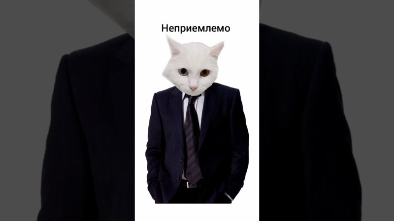 Приемлемо Мем шаблон