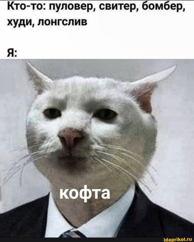 Кот Мем