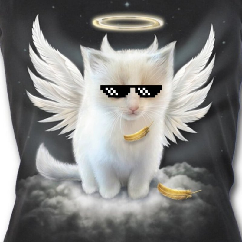 Котенок с крылышками