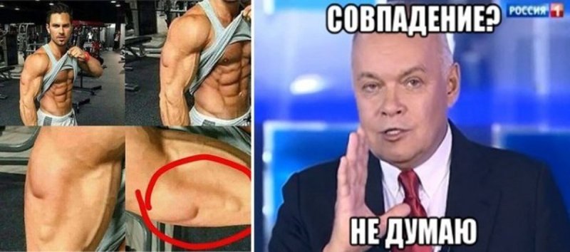 Мемы про протеин