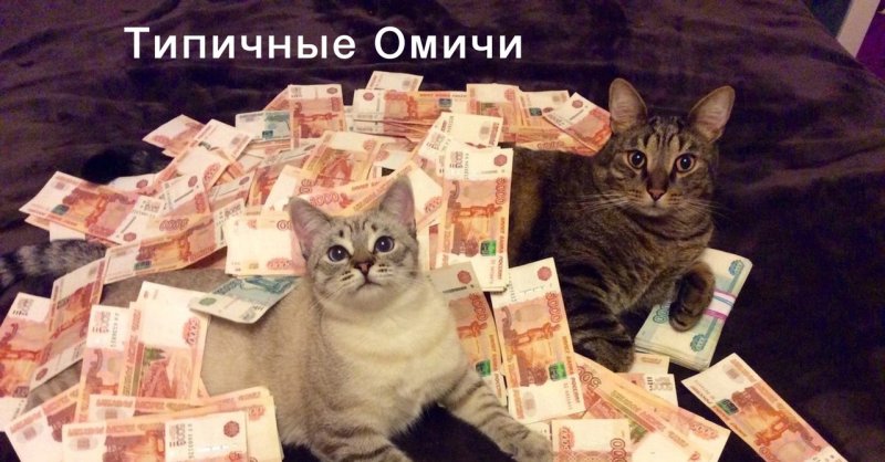 Денежный кот с рублями