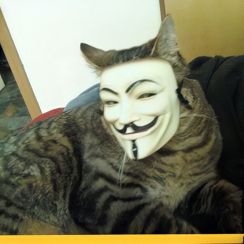 Упоротый анонимус