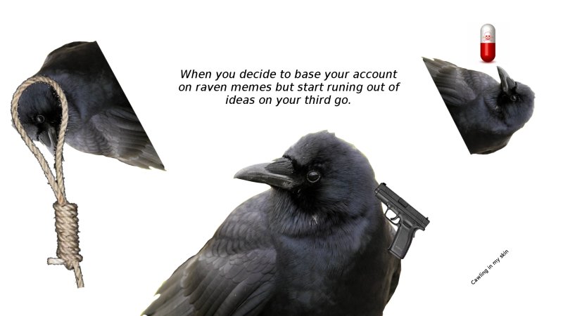 Мем с вороной и Воробьем