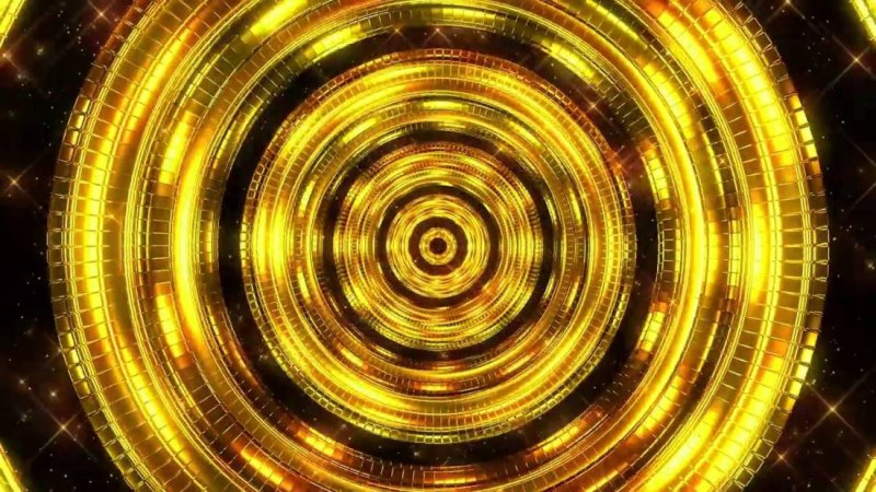 Кот с деньгами