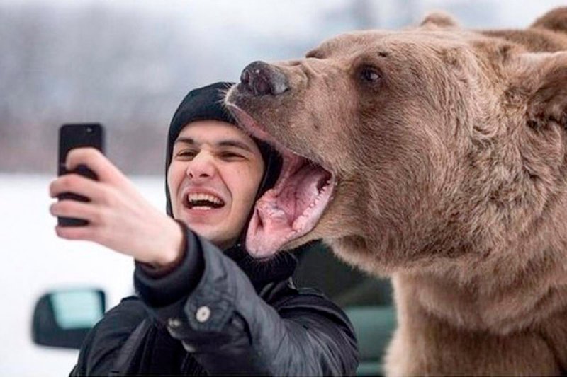 Селфи с медведем