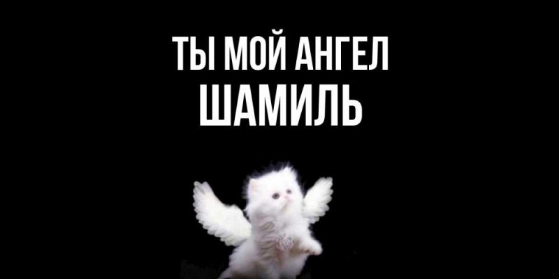 Коти ангел Мем