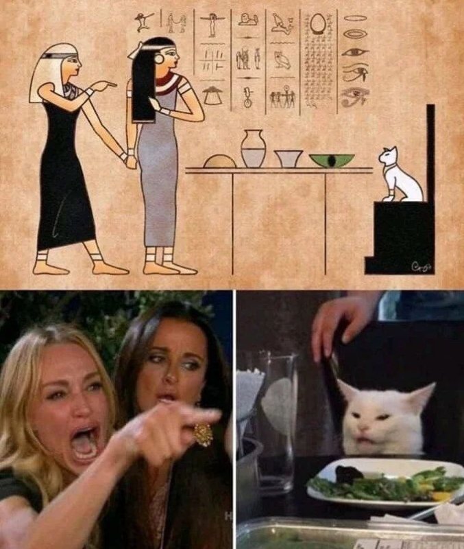 Мемы с котом за столом