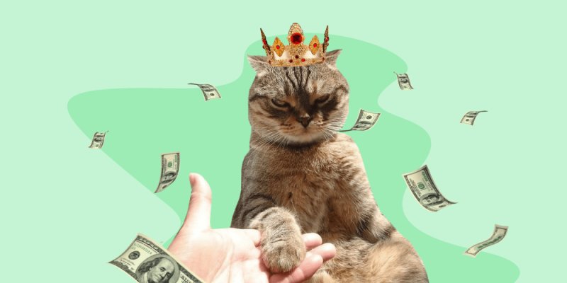 Богатый кот
